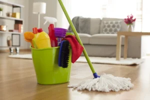 Why You Need to Hire a House Cleaner